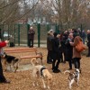 1579534292_cg_pasji_park.jpg