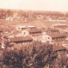1615471515_mz_kidričevo_las_(foto_aleksander_kumer).jpg