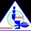 logo-s%C5%A0gt-radenci_63e6292f1fa8d.png