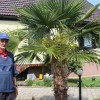 1590071705_mz_palma.jpg