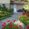 1540391365_nz-kosmatinec.jpg