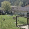 1556301500_sd-jursinci_sola.jpg