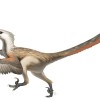 1645109022_sd-dinozavri01.png