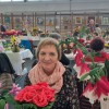 1712239333_mv-roze_iz_papirja_5.jpg