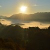 1536053732_em_interesna_zveza_haloze_2.jpg
