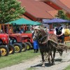 1497782240_mv-konjenisko_drustvo.jpg
