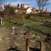 1626352295_cg_oppn_ptuj_2.jpg