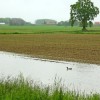 1684759427_cg_poplave_1.jpg