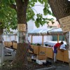 1504799828_cg_trznica_drevesa_1.jpg