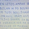 1703775084_dz-leo1.jpg