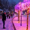 1640266883_img_4441.jpg