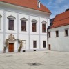 1707747366_ek_vodniki_borl.jpg