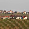 1614263839_kg-kog.jpg