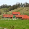 1721049704_cg_ranc_vuk.jpg