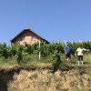 1561116080_mh-plaz_vičanci.jpeg