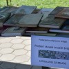 1625073231_dzh-iz_izbrane.jpg