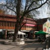 1611741273_mcc_hostel_003.jpg