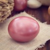 1650082798_easter-egg-g0e83b7a5b_1920.jpg