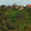 1665408634_cg_haloze_2.jpg