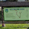 1482578693_makole.jpg