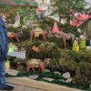 1640612027_ek_jaslice_1.jpg