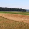 1499595567_mz_kmetijska_gospodarstva.jpg