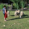 1564407715_sd-turistične_kmetije02.jpg