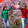 1648728912_migaj-gratis-12-naslovna.jpg