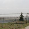 1557399035_mz_rastlinjaki.jpg