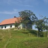 1565015873_sm-osterberg1.jpg
