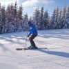 1671712983_rogla_ozimi_1.jpg