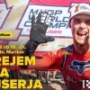 1661427588_gajser.jpg