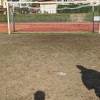 1731325132_nogomet_darva_splet.jpg