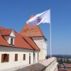 1564663759_ptuj_zastava.jpg