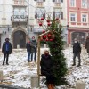 1607608738_cg_praznicno_drevo_td_ptuj.jpg