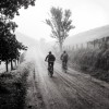 1677505902_bike-1534902_1920.jpg