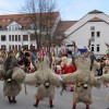 1582814059_mv-fasenk_videm_1.jpg