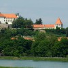 1541518682_cg_drevesa.jpg