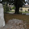 1535470463_mv-foma_viva.jpg