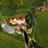 1702499178_sd-terasasti_vinogradi01.jpg