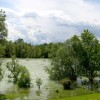 1647528094_cg_drava.jpg