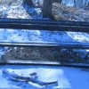 1643295223_mh-vandalizem_park.jpg
