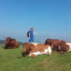 1565271867_mz-velika_planina.jpg