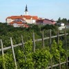 1463169066_cg_destrnik.jpg