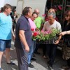 1528022645_cg_td_ptuj_roze.jpg