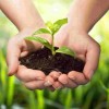 1521803534_agriculture.jpg