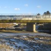 1484567749_em-zivali-na-avtocesti-1.jpg