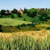 1552554785_slovenske_gorice.jpg