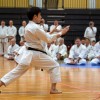1716547102_shotokan1.jpg