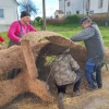 1701413485_jaslice_2.jpg